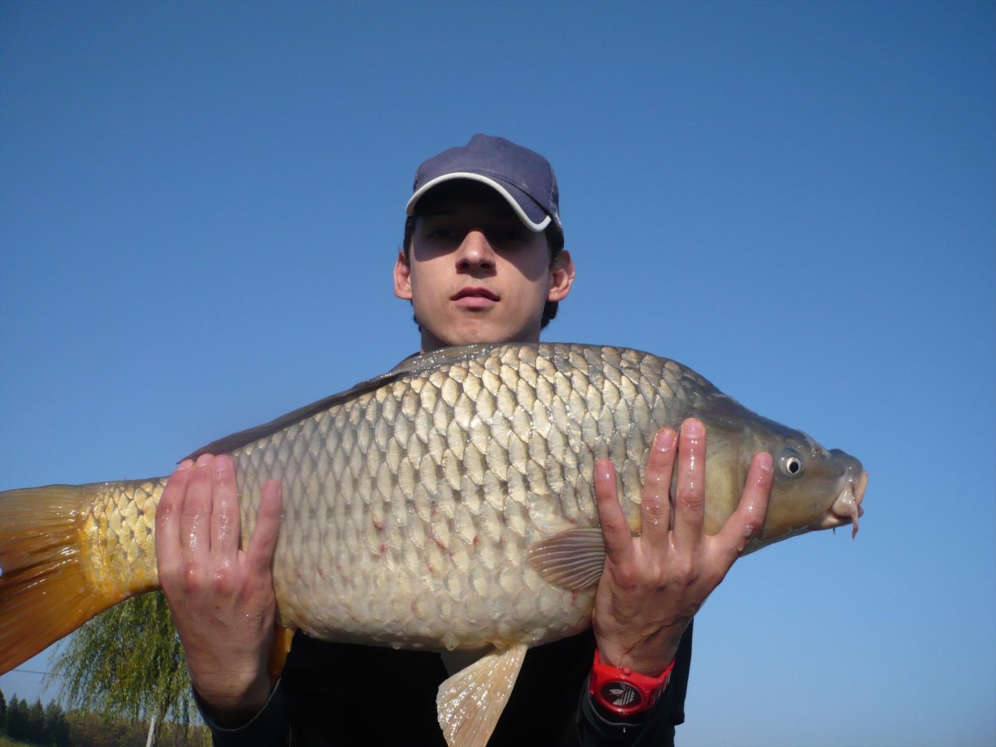 MV2 - 24.OCT.2013 - ultimul peste al partidei